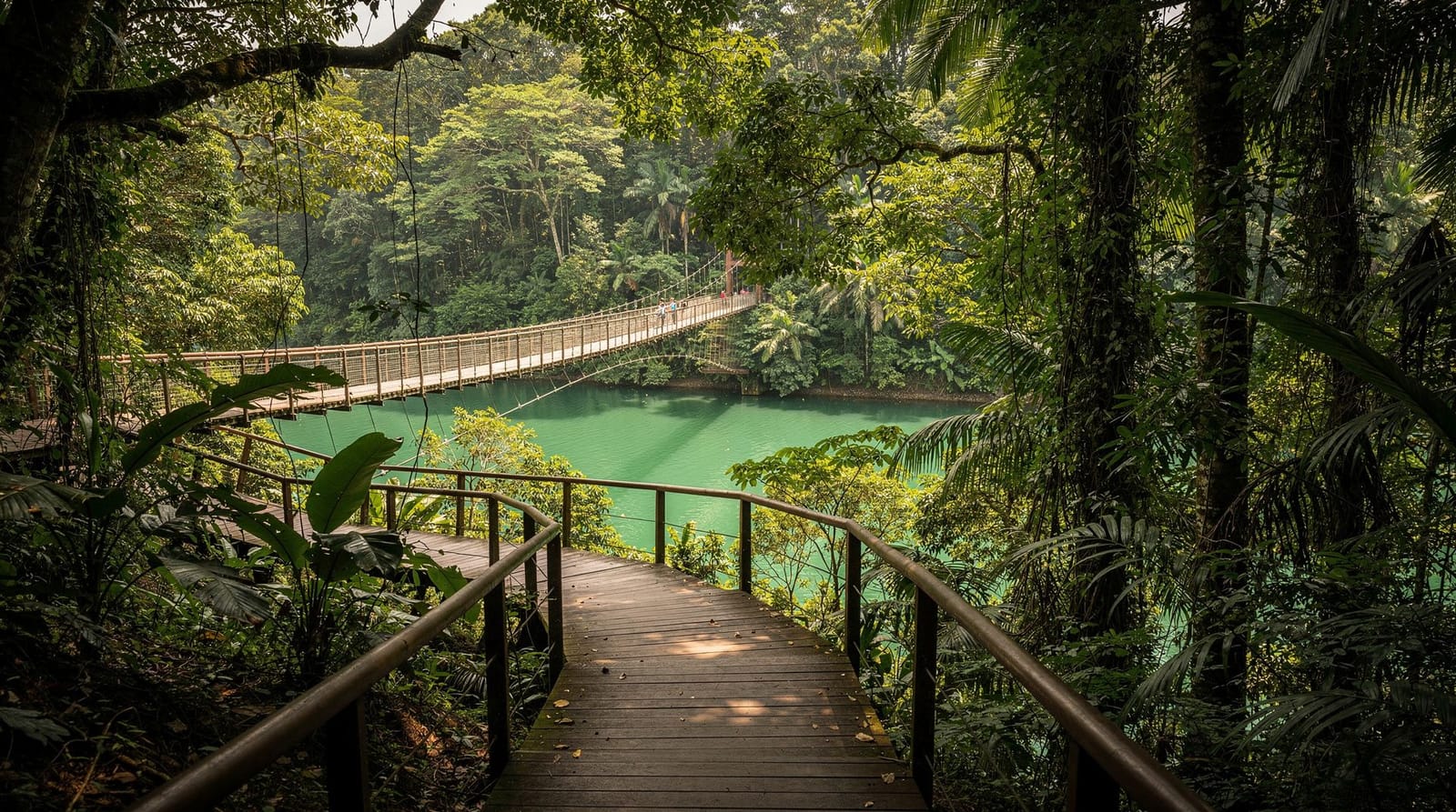 Pulau Ubin à vélo : ce que c'est vraiment de passer une journée sur le dernier kampung de Singapour — Une journée à vélo à Pulau Ubin : la traversée en bumboat, la location de vélo, 