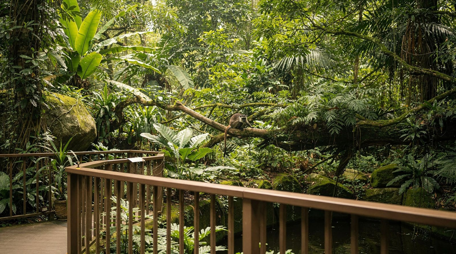 Night Safari de Singapour : avis honnête après trois visites — Avis honnête sur le Night Safari après trois visites : ce qu'on voit depuis le t
