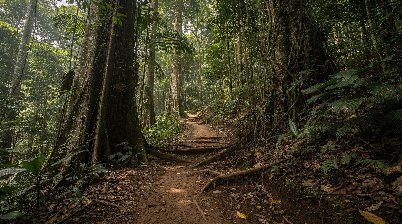Bukit Timah, Singapore