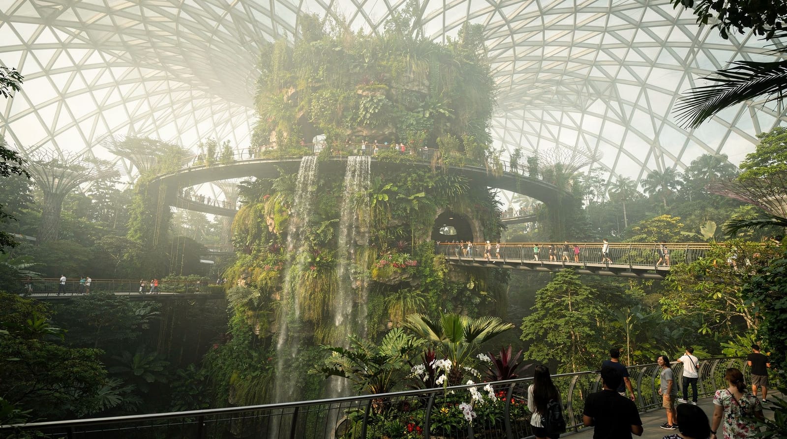 Cloud Forest vs Flower Dome: quale dovresti visitare?