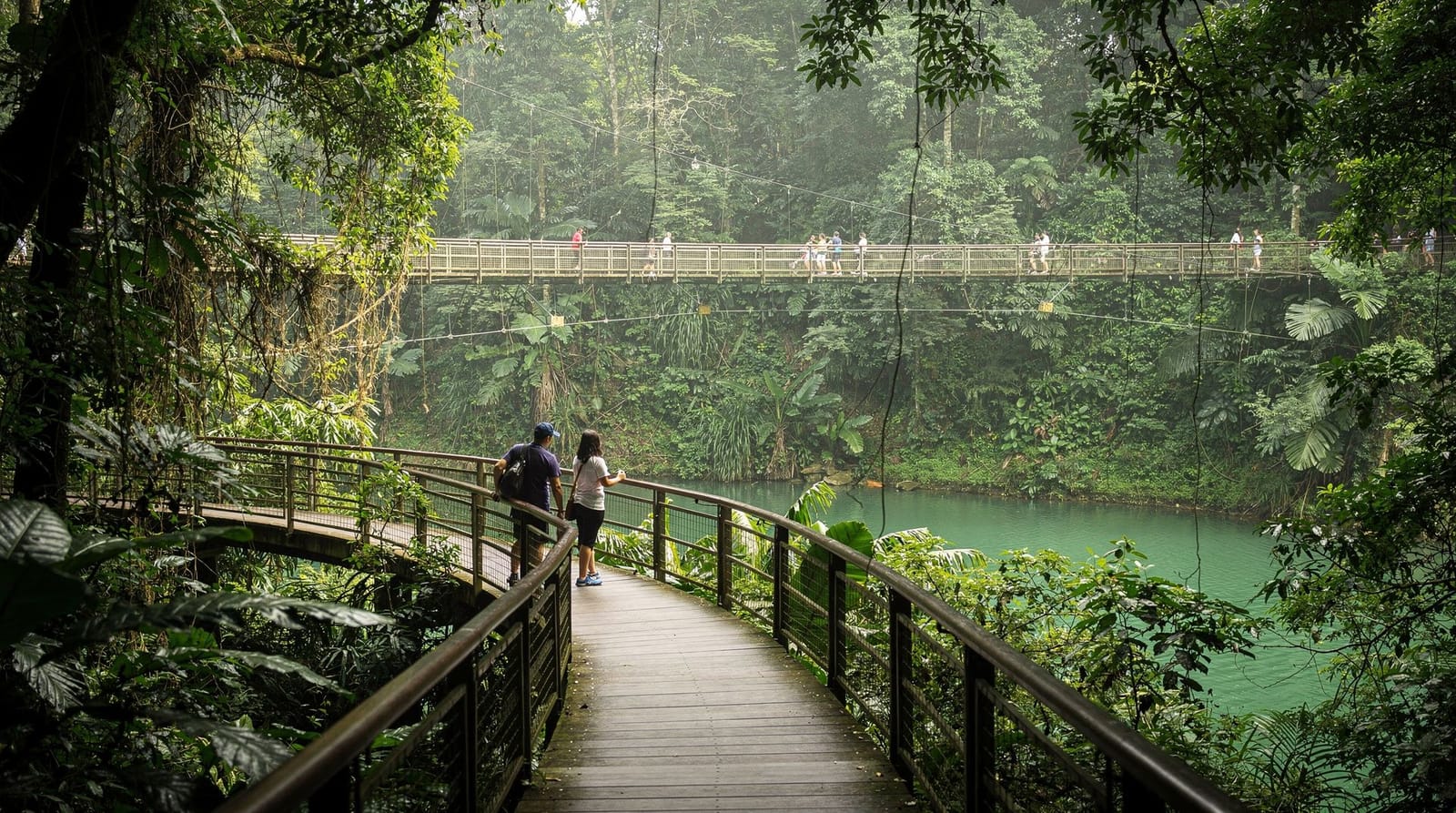 Fietsen in Singapore: beste routes, fietstours en praktische tips — Fietsen in Singapore — East Coast Park, Pulau Ubin-paden, Park Connector-routes,