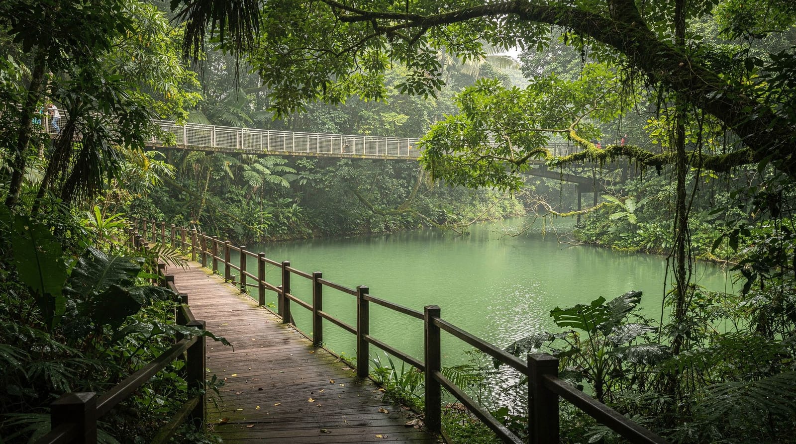 Sungei Buloh Wetland Reserve: guida completa del visitatore