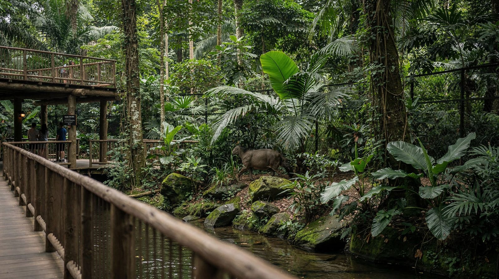 Zoo vs Night Safari Singapore: quale visitare?